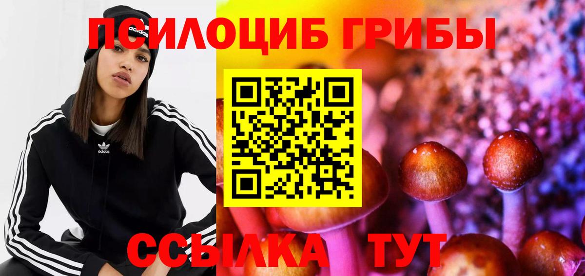 Псилоцибиновые грибы мухоморы Изобильный