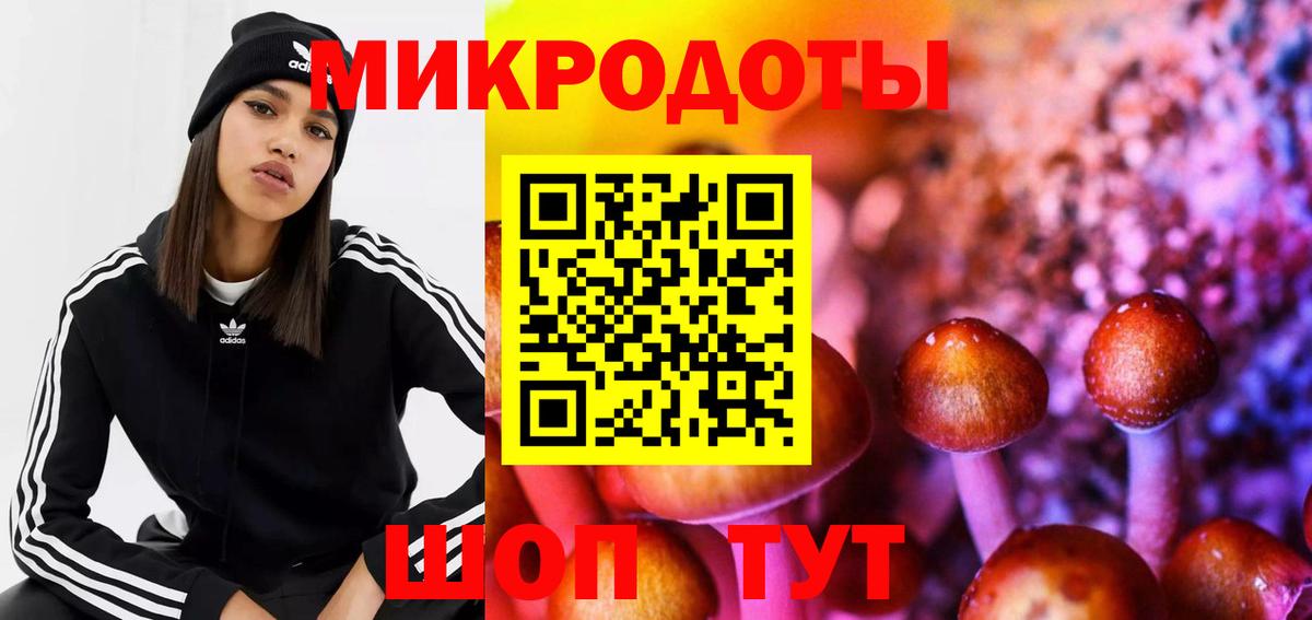 сколько стоит  Вход с VPN  Галлюциногенные грибы прущие грибы  Изобильный  Псилоцибиновые грибы GOLDEN TEACHER 